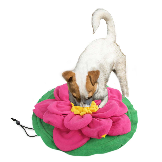 Snuffle Mat - Giant Lotus