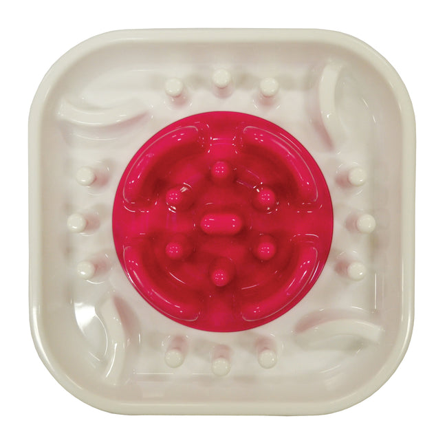 Slow Feed Interactive Dog Bowl