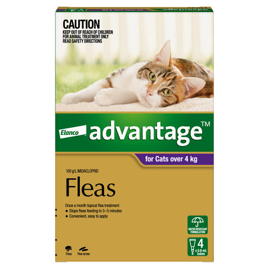 Advantage Purple - Large Cat Over 4kg