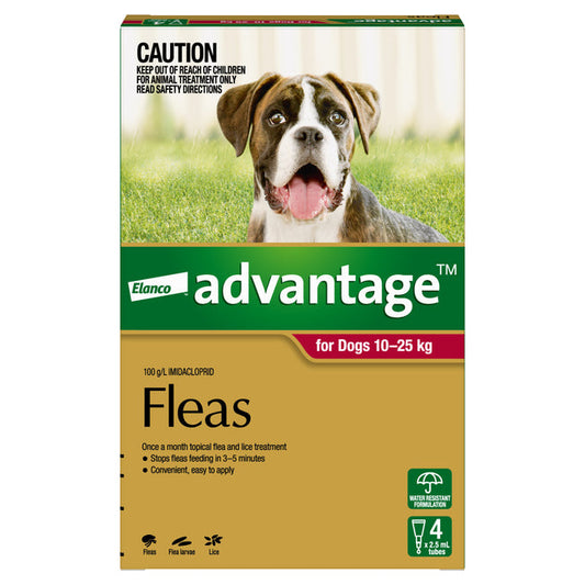 Advantage Large Dog up to 10-25kg