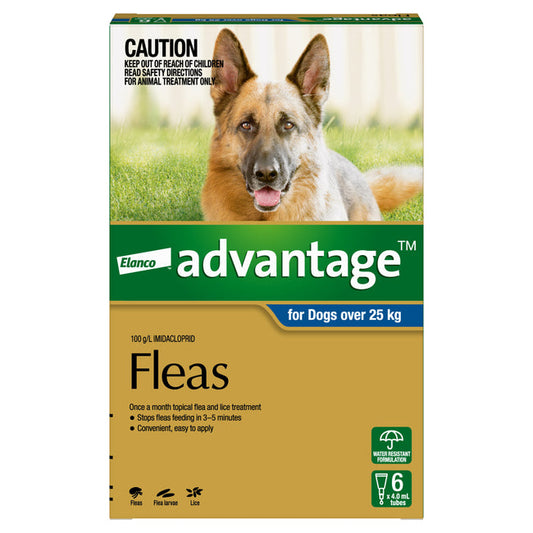 Advantage  Extra Large Dog Over 25kg
