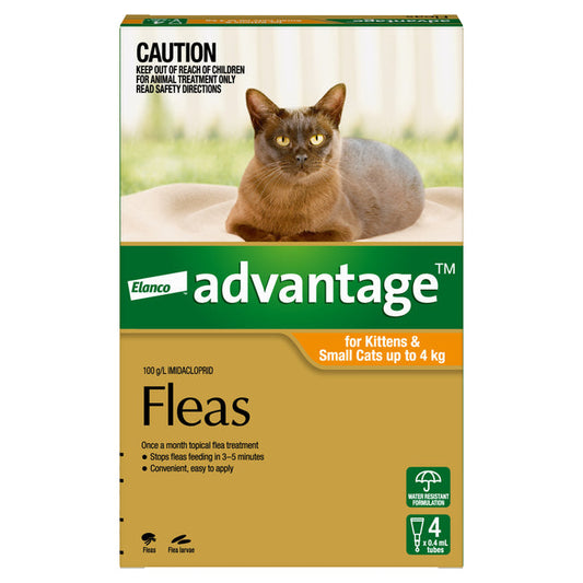 Advantage Orange - Kittens and Small Cats up to 4kg