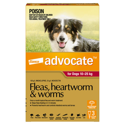 Advocate Red - Large Dog 10-25kg