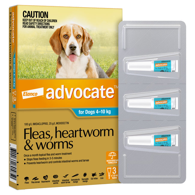 Advocate Blue - Medium Dog 4-10kg