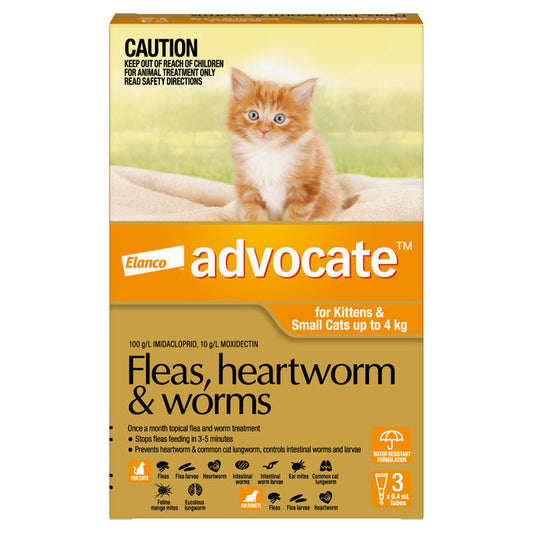 Advocate Orange- Kittens and Small Cats up to 4kg