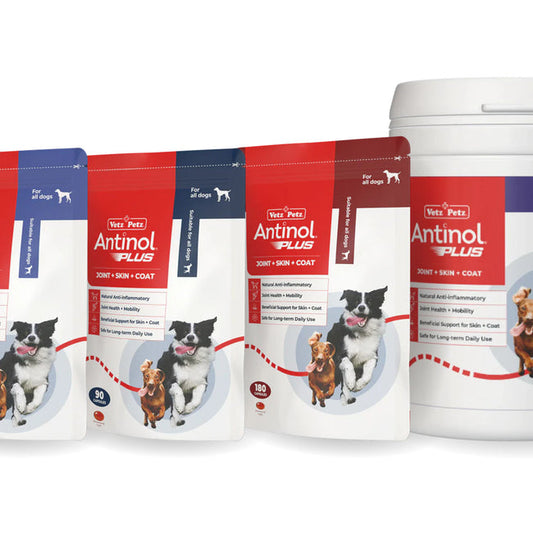 Antinol Plus for Dogs