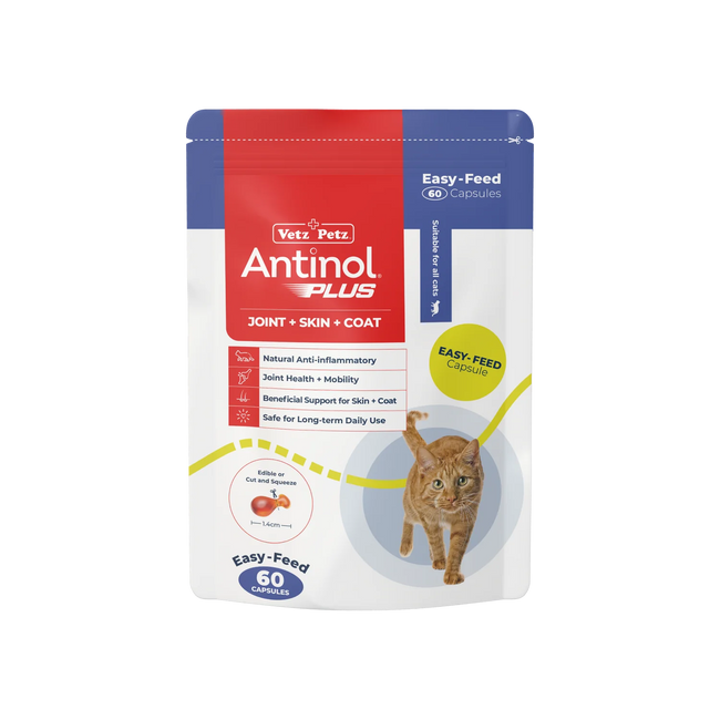 Antinol Rapid for Cats 60 Pack