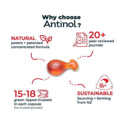 Antinol Rapid for Cats 60 Pack