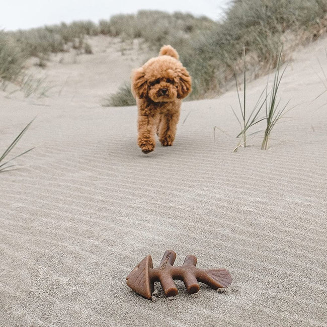 Benebone Fishbone Dog Chew Toy