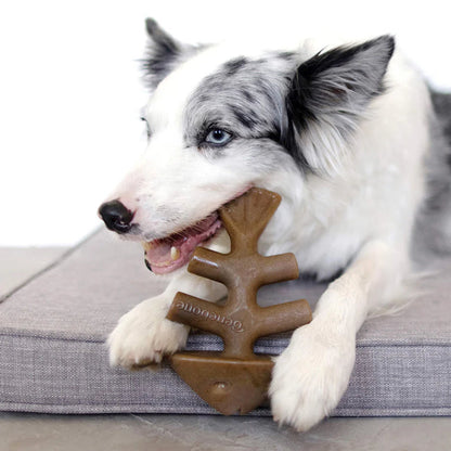 Benebone Fishbone Dog Chew Toy
