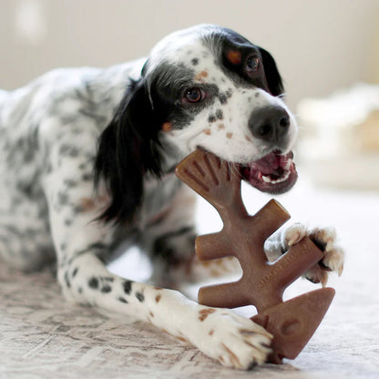 Benebone Fishbone Dog Chew Toy