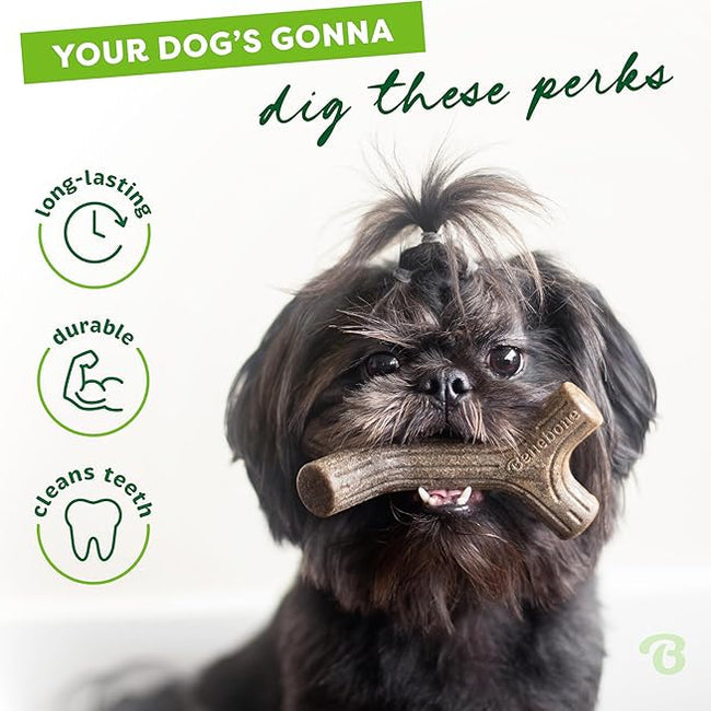 Benebone Maplestick Dog Chew Toy