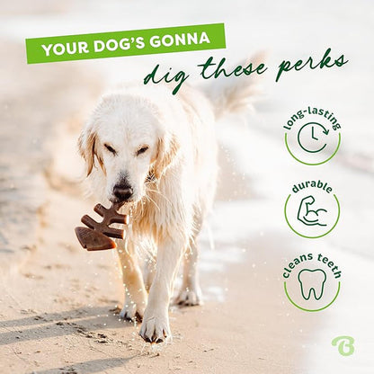 Benebone Fishbone Dog Chew Toy