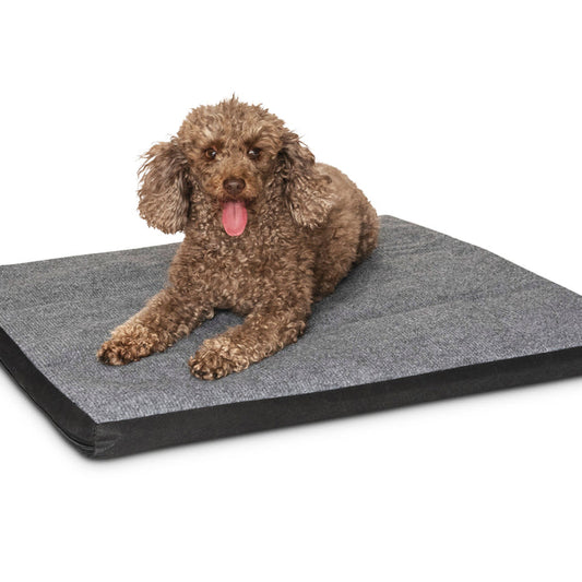 Carpet Dog Mat