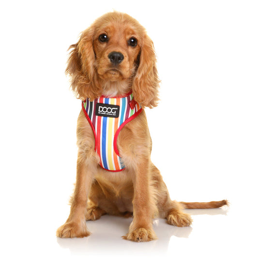 Doog Neoflex Scooby Harness