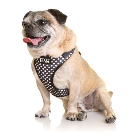 Doog Neoflex Pongo Harness