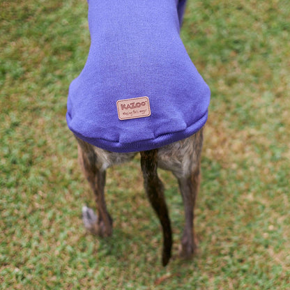 Greyhound Jumper - Sundown