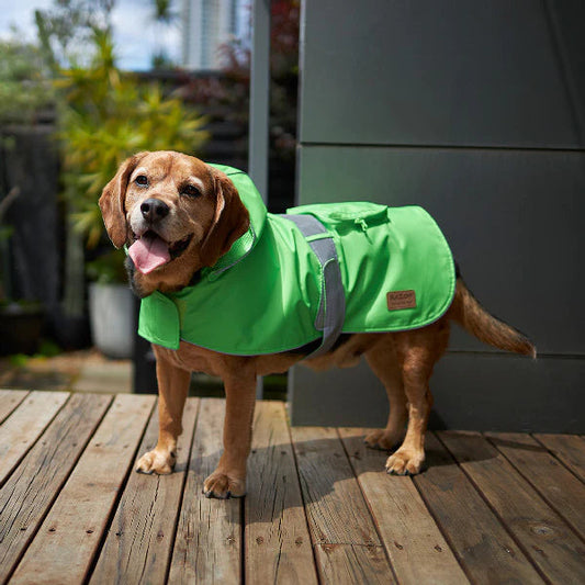 Kazoo Rainy Days Raincoat