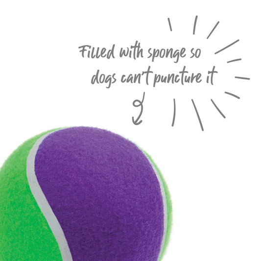 Sponge Tennis Ball