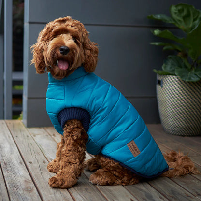 Kazoo Reversible Puffer - Red & Blue