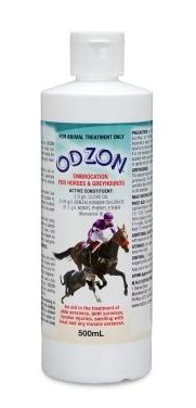 Odzon