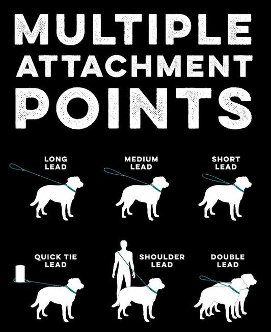 Huskimo Multi Lead