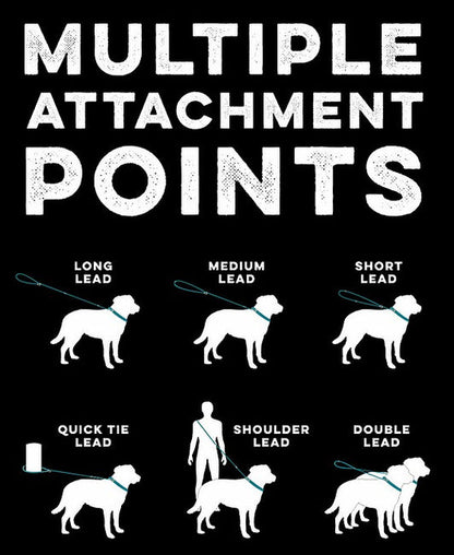 Huskimo Multi Lead