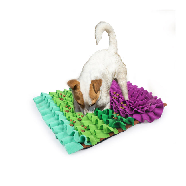 Snuffle Mat - Play & Treat Rectangle Fluffy Mat