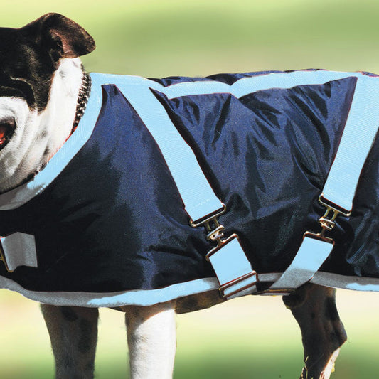 Thermo Master Supreme Dog Coat Navy