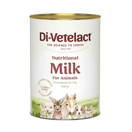 Divetelact Powder